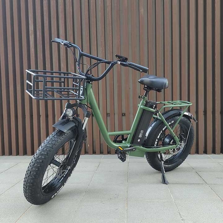Freego | FB-20X Cargo E-Bike | 750W, 20x4 Fat Tire - 15Ah Battery Standard Version