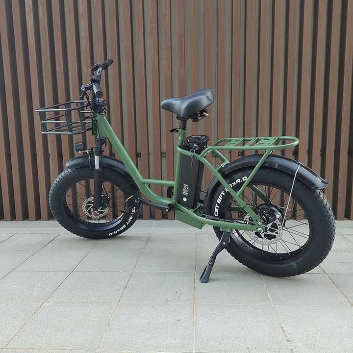 Freego FB-20X Cargo E-Bike | 750W, 20x4 Fat Tire