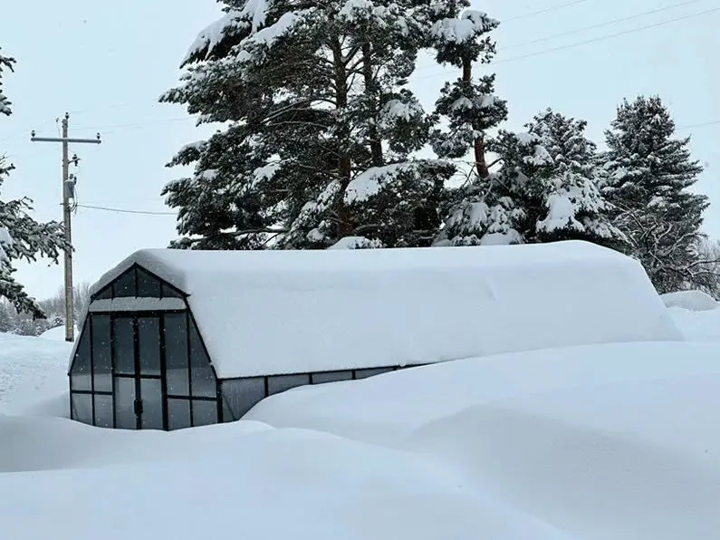 Grandio | Summit 12x20 Greenhouse | SUMMIT-1220