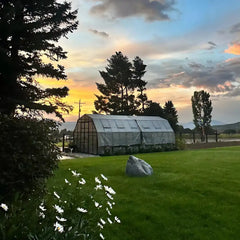 Grandio | Summit 12x24 Greenhouse | SUMMIT-1224